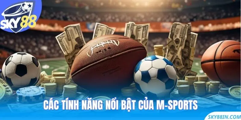 Các tính năng nổi bật của M-sports