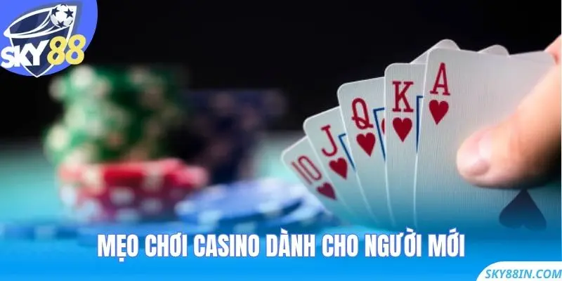 Mẹo chơi Casino dành cho người mới